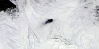 Ученые выяснили причину появления гигантской дыры в морском льду антарктиды