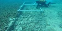 Исследователи обнаружили 7000-летнюю подводную дорогу