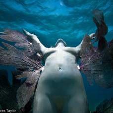 Новая подводная скульптура 'феникс' от джейсона тэйлора