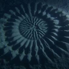 Таинственные подводные 'круги на полях'