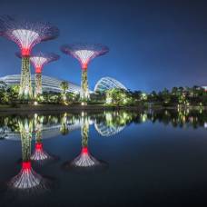 Сингапурские сады у залива выиграли престижную награду «здание года» на всемирном архитектурном фестивале