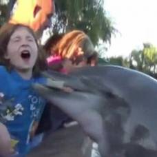 Дельфин едва не утащил девочку под воду вместе с рыбой