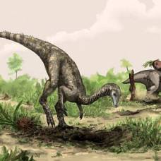Nyasasaurus — кандидат на роль самого раннего динозавра