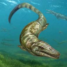 Найден древний монстр живший исключительно в пресной воде