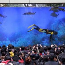 Гигантский аквариум с акулами лопнул, вызвав панику среди посетителей