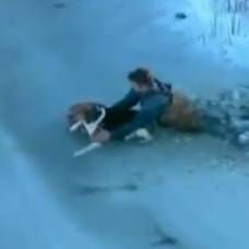 Cпасатели вытащили собаку, попавшую в ледяную полынью