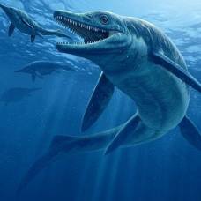 Описан новый вид древней гигантской морской рептилии