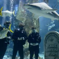 В лондонском океанариуме прошли символические похороны рыб
