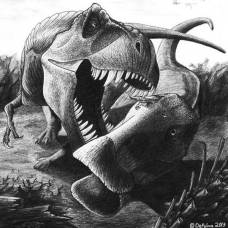Как утконосый динозавр отбился от тираннозавра