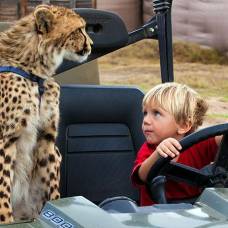 Замечательная дружба детей и гепарда