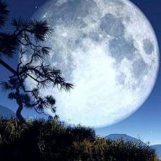 Супер луна в ночь на воскресенье будет самой яркой и большой за год