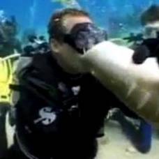 Поцелуй с акулой едва не стоил дайверу собственных губ