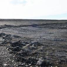 Исследователи пытаются разгадать тайну странных следов на берегу озера в монголии