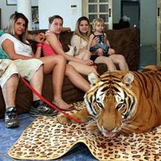 Бразилец создал эко-парк для хищников в своем доме
