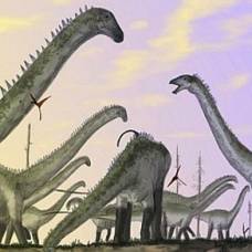 Почему динозавры стали такими большими?