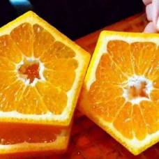 Пятиугольные апельсины, выдумка или реальность?