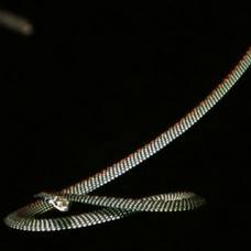 Форма тела парящих змей напоминает нло