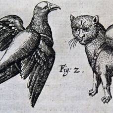 В средневековье военные могли использовать животных-диверсантов