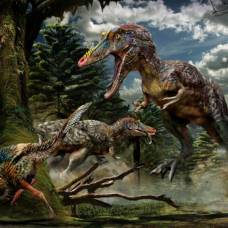 Пиноккио рекс: новый вид динозавров был обнаружен в китае