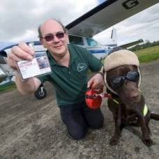 Собака впервые в истории получила права пилота