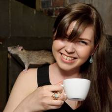 В лондоне открылась кофейня с крысами