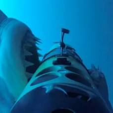 Подводный робот сделал селфи с нападющей акулой