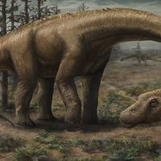 Археологи представили 3d модель нового гигантского динозавра