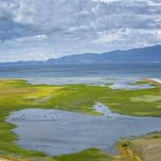 Озеро байкал превращается в болото из-за чужеродных водорослей, предупреждают экологи