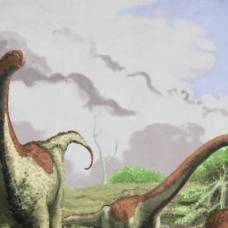 В танзании обнаружен еще один титанозавр