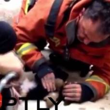 Пожарный спас щенка, сделав ему искусственное дыхание