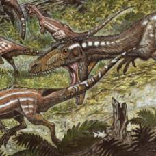Останки пёстрого кровожадного динозавра найдены в венесуэле