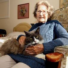Кошка нашла хозяйку в доме престарелых