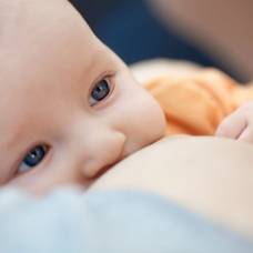 Стволовые клетки из материнского молока достраивают организм ребенка