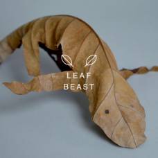 Причудливые зверушки из листьев (leaf beast)