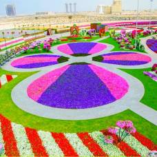 Сад чудес - самый большой цветочный сад в мире
