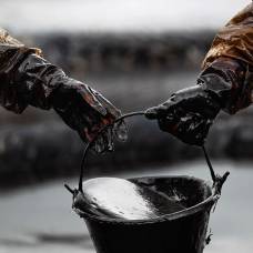 Сколько нефти потребляет 1 человек ежедневно?