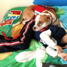 Собака помогает мальчику-инвалиду справиться с болезнью