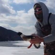 Рыбак выловил из проруби утку, которая пряталась подо льдом