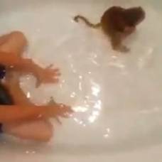 Макака-Крабоед, принимающая ванну вместе с мальчиком, стала звездой youtube