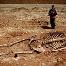 Смитсоновский институт признал уничтожение тысяч скелетов гигантов