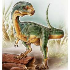 Описан вид травоядных родственников тираннозавров