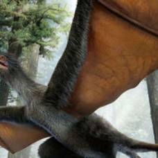 В китае найден динозавр, похожий на летучую мышь