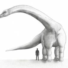 Самый большой динозавр в истории похудел на несколько тонн