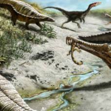 Экстремальный климат не позволял динозаврам заселить тропики на протяжении миллионов лет