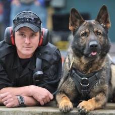 5 главных правил дрессировки полицейской собаки