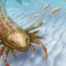 Найдены останки древнейшего гигантского морского скорпиона
