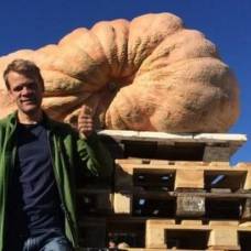 Швейцарский фермер вырастил тыкву весом 856 килограммов