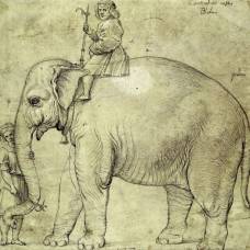 Папа римский и его слон анноне