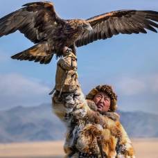 Фестиваль «золотой орел» в монголии