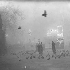 Туман и экологическая катастрофа в лондоне